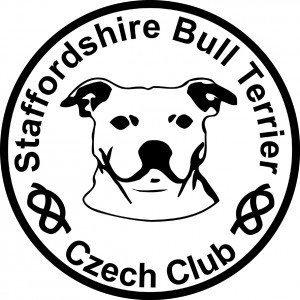 staffbull10x10.jpg